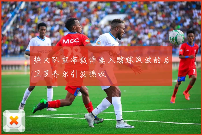 热火队宣布裁掉卷入赌球风波的后卫罗齐尔引发热议